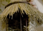 53-64-img_0285